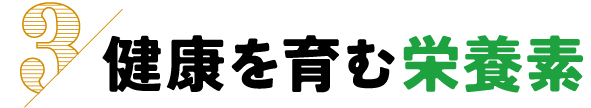 3.健康を育む栄養素